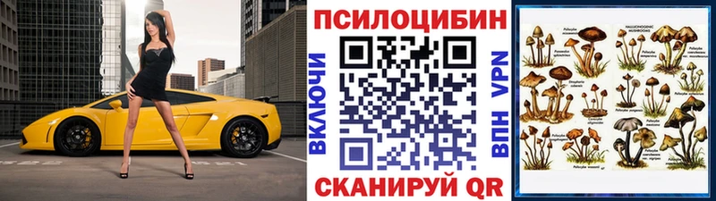 Галлюциногенные грибы Cubensis  сколько стоит  Анжеро-Судженск 